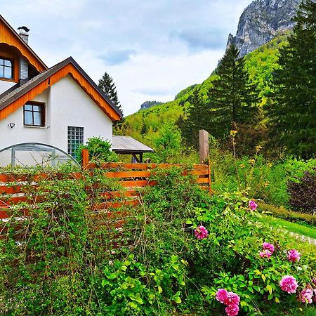 Ingreen House โบฮินิสกา เบลา ภายนอก รูปภาพ